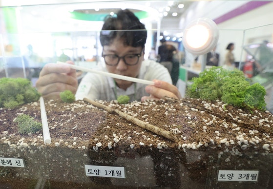 [사진] 친환경 빨대, 이렇게 분해되는구나