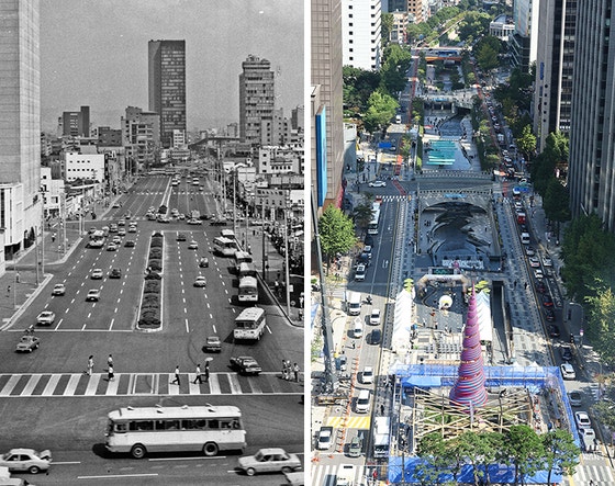 콘크리트 걷어낸 뒤 20년, 청계천에 쉬리∙백로 노닌다