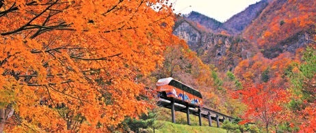 [라이프 트렌드&] 미디어 파사드·야간 조명 … 동굴 관광 새로운 패러다임 제시