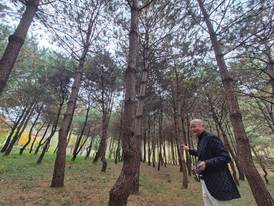 나무 3만 그루 심었다, 건설사 대표의 고향 사랑