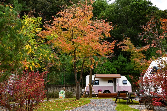 수원시 캠핑장이 왜 경북 봉화군에? "인구소멸 지역과 공존 모색"