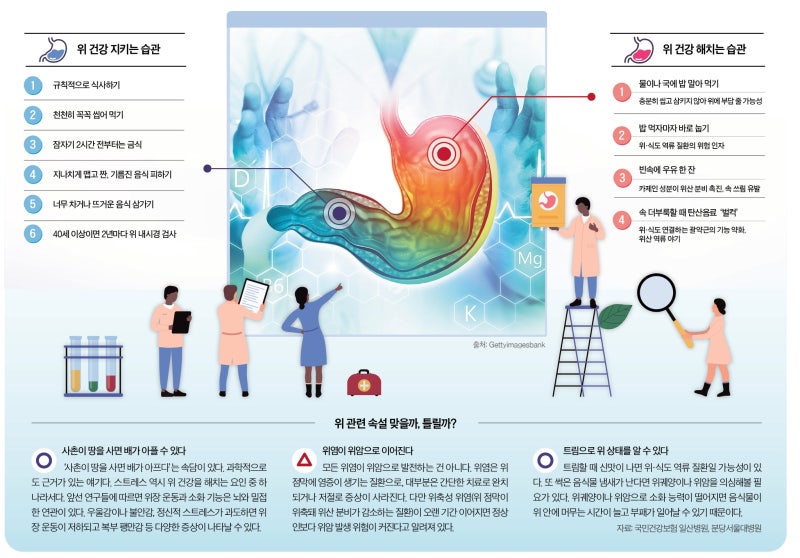 송년회 시즌, 위건강 지키려면…술잔 옆에 '이 안주' 두세요 [Health&]