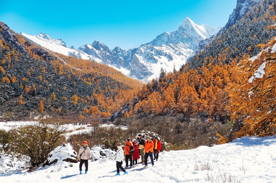 중국 차마고도 야딩, 비아그라 필수 MZ들만 가는 곳
