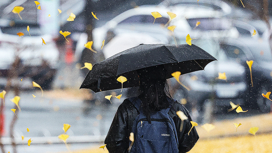 전국 대부분 지역에 비가 내린 25일 대구 북구 경북대학교 캠퍼스에서 대학생이 우산을 쓰고 은행나무 아래를 지나가고 있다.연합뉴스