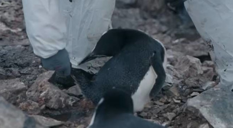 사진 MBC '남극의 셰프' 예고편