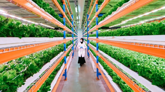 항공사는 하늘만 난다? 수익은 땅에서도 난다