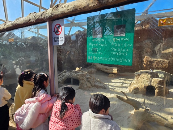 지난달 28일 국립생태원 에코리움에서 어린이들이 유기되거나 밀반입된 뒤 보호 중인 사막여우를 구경하고 있다. 이영근 기자