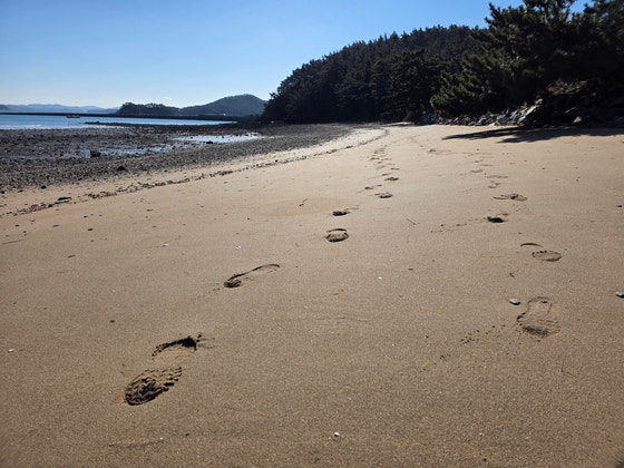 만대항 옆 해수욕장에 찍힌 두 사람의 발자국.도란도란 이야기를 나누는 듯하다.