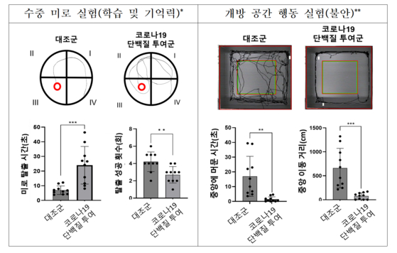 S1 단백질 투여한 쥐와 대조군의 동물실험 결과.사진 질병관리청