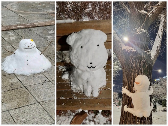 수도권에 첫눈이 내린 지난 4일 각지에 만들어진 눈사람들.사진 스레드 캡처