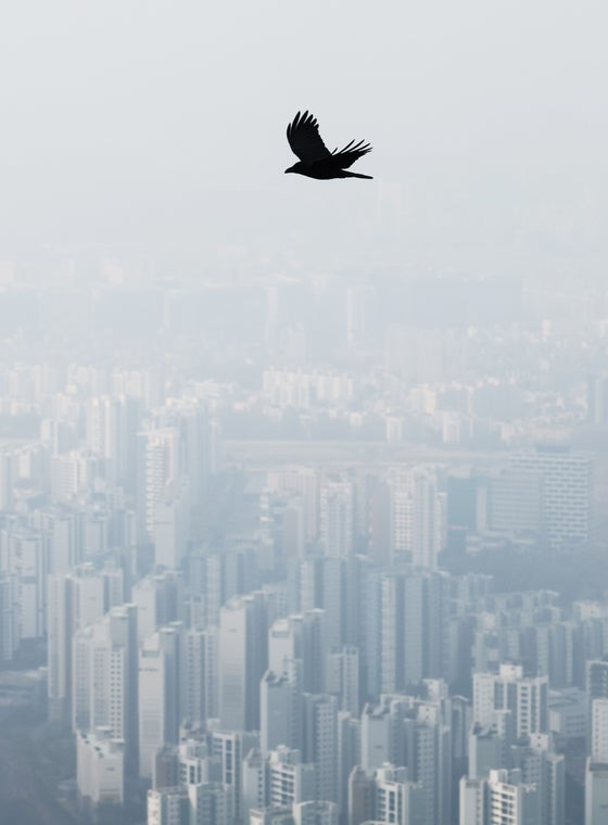 [사진] 오전까지 미세먼지…출근길 마스크 필수