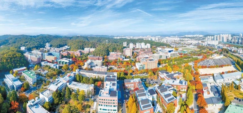 [대입 내비게이션] 사범대 소속 7개 학과 가군→나군 변경