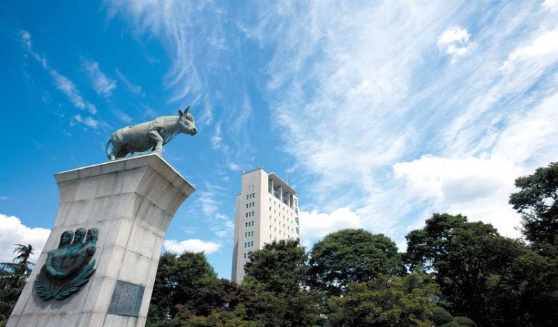 [대입 내비게이션] 학  사 개편으로 전공 선택권 확대