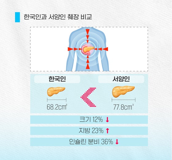 한국인은 서양인과 비교할 때 췌장 크기도 작고 인슐린 분비 능력도 떨어진다.