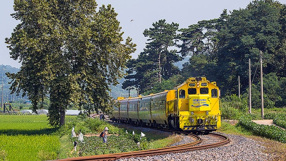새해부터는 인구감소지역을 여행하는 국민에게 여행 경비의 절반을 지역화폐로 돌려주는 지역사랑 휴가 지원제도가 시작된다.사진은 용산과 익산을 잇는 관광열차 '서해금빛열차'의 모습.사진 코레일