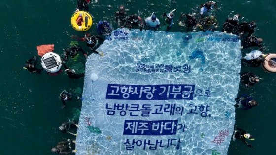 지난 2023년 제주도 고향사랑기부금으로 진행한 남방큰돌고래 플로빙.사진 제주도