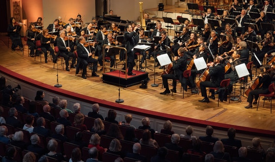 478년 녹아든 선율, 깊이가 다르다