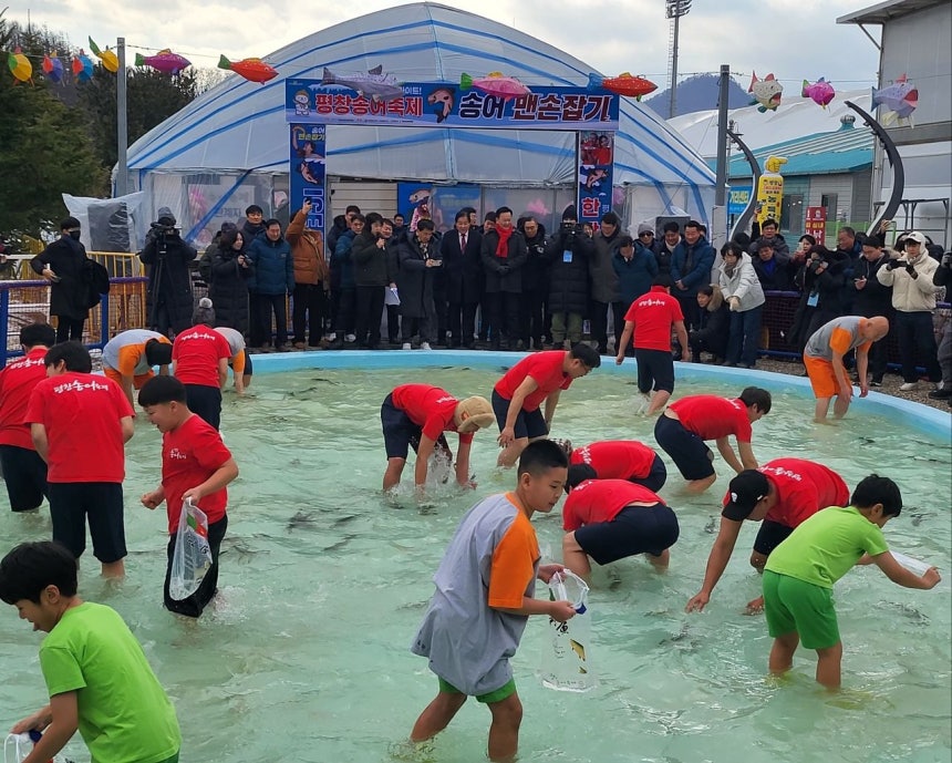 지난 9일 강원 평창군 진부면 오대천 일원에서 개막한 '평창송어축제'를 찾은 관광객들이 맨손으로 송어를 잡는 프로그램에 참여하고 있는 모습.[뉴스1]