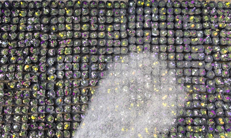 [사진] 오늘 입춘, 낮엔 전국 영상권