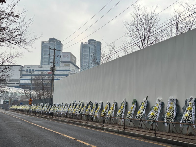 용산 한복판 근조화환 줄줄이…과천엔 '주택폭탄' 현수막 걸렸다, 왜