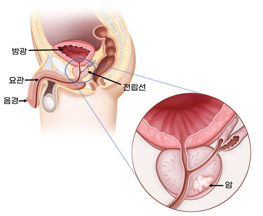 �������� ��ĵ�. �ڷ� ����ƻ꺴��