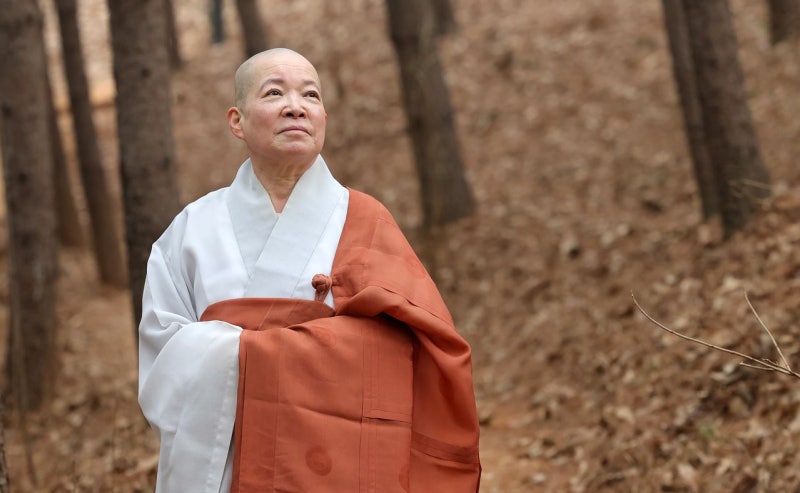 벌써 121편, 수상만 96회…67세 스님이 영화 만드는 까닭