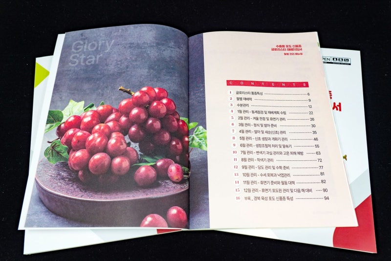 “아삭한데 달콤”…샤인머스켓 대타 노리는 ‘글로리스타’