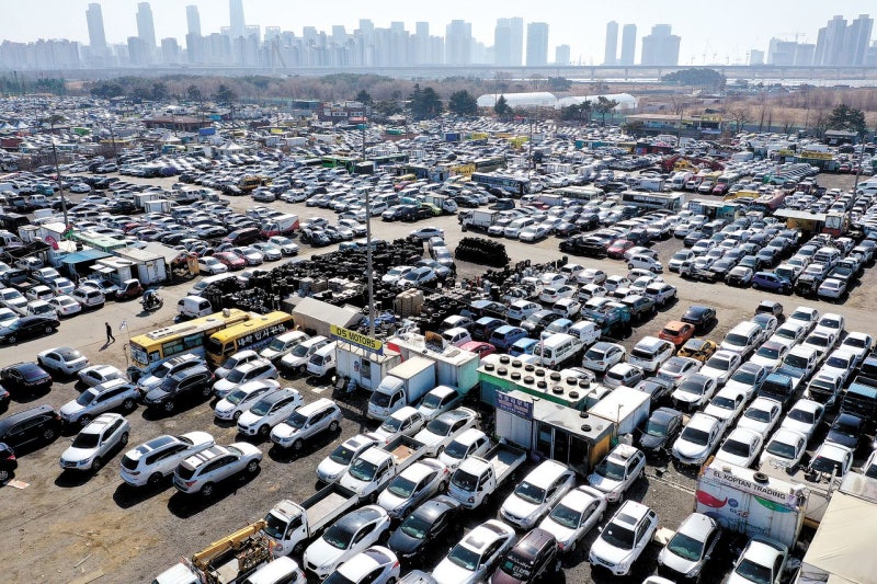 "신차보다 효자" 중앙아시아 누빈 K중고차, 수출 증가액 1위
