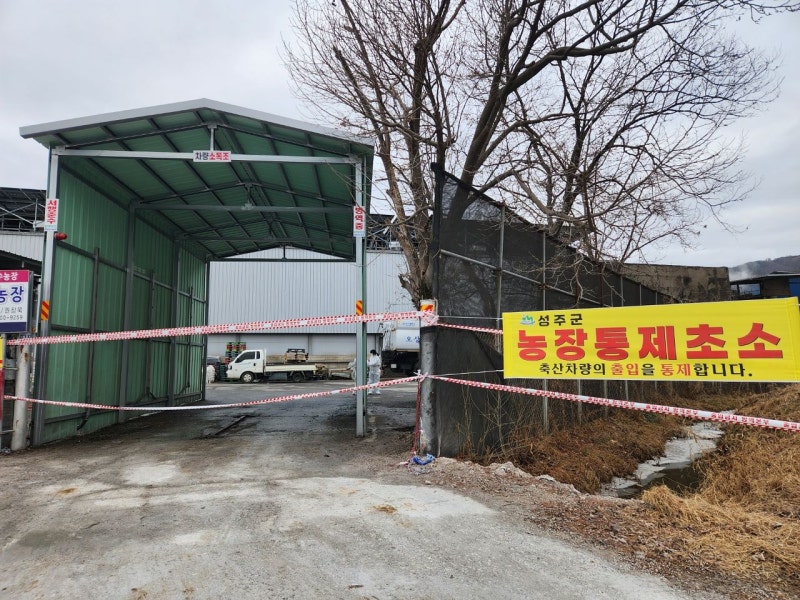 "25만마리 하루새 잿더미"…소·닭·돼지 '도미노 전염'에 생지옥