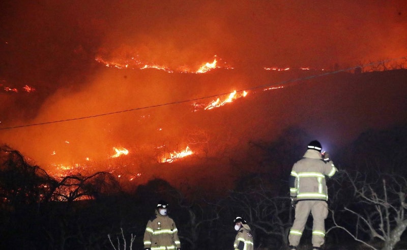단비에 숨돌린 지자체, 산불 막으려 '마당에 둔 재'까지 단속