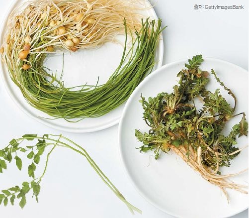 [Cooking&Food] 집 나간 입맛도 돌아온다 향긋한 ‘봄나물 요리’ 3선