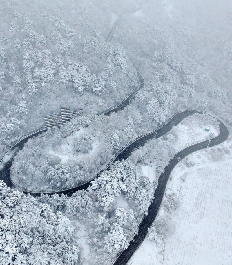 [사진] 구룡령 옛길 ‘3월의 눈’