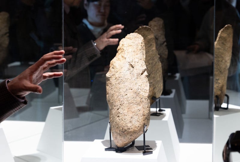 들기도 어려운데…세계 최대 42㎝ 주먹찌르개 미스터리