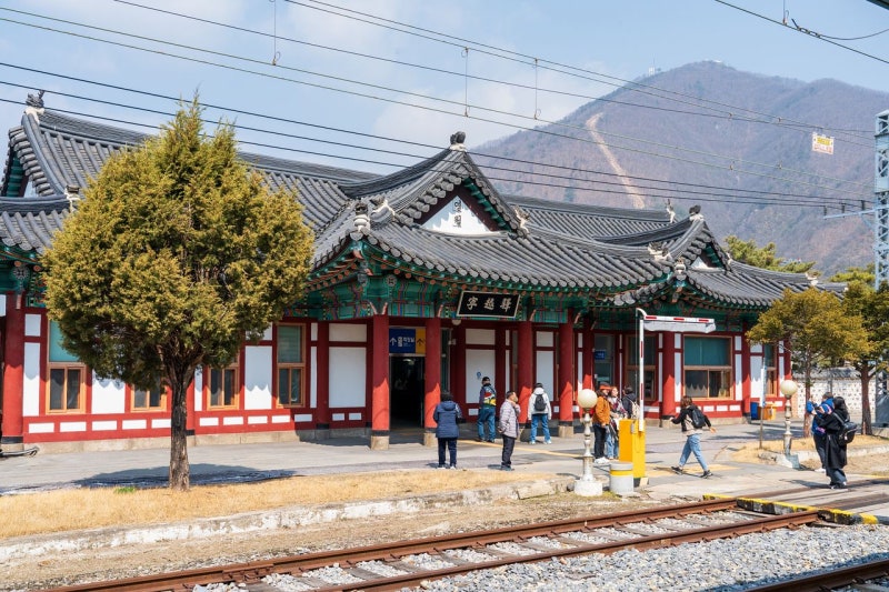 ‘왕사남’ 반값여행…기차는 공짜, 10만원도 돌려받네