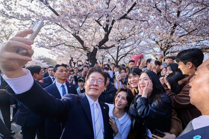 [사진] 시민들과 벚꽃 셀카