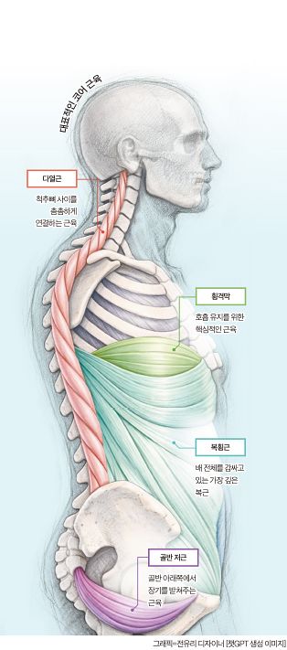 대표적인 코어 근육
