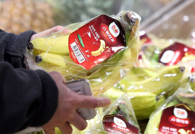 [사진] “바나나도 못 살 판”