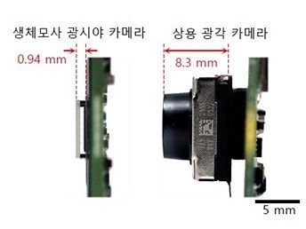 스마트폰 ‘카툭튀’, 기생 곤충의 눈에서 해법 찾았다