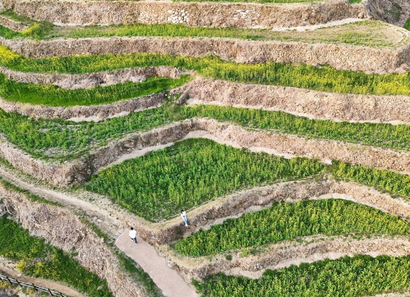 봄이 층층이 쌓였네, 108층 마을