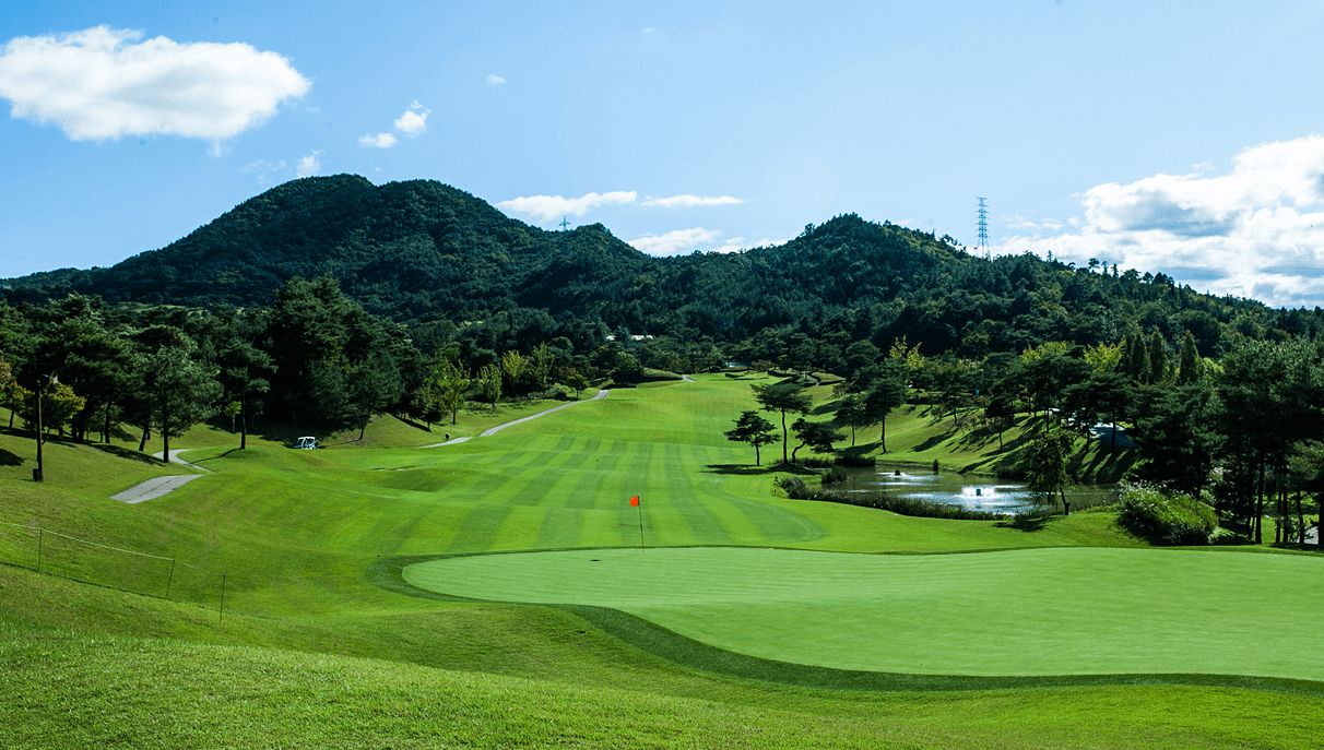 112만명 홀렸다, 골프장 히든 챔피언