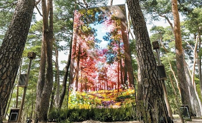 [자연이 빚고, 마음이 쉬어가는 강원] 관광·교통 인프라 확충, 사계절 체류형 관광도시로 발돋움