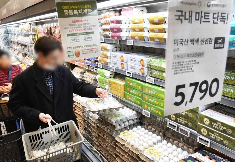 원가 떨어졌는데 가격은 올랐다…수상한 계란값 비밀