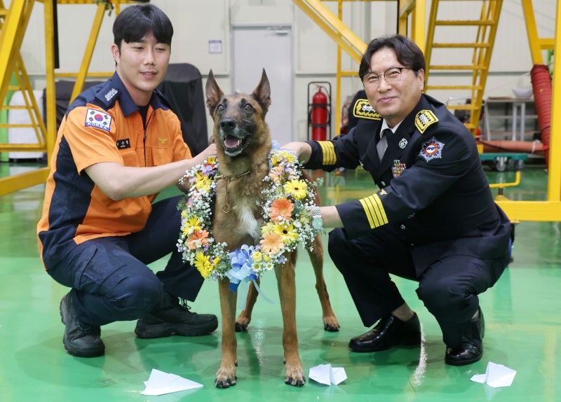 “충성아, 이제 마음껏 뛰어놀아라”