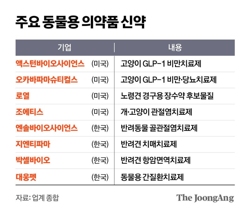 뒤뚱대는 우리집 뚱냥이…‘동물용 위고비’ 먹일 날 온다