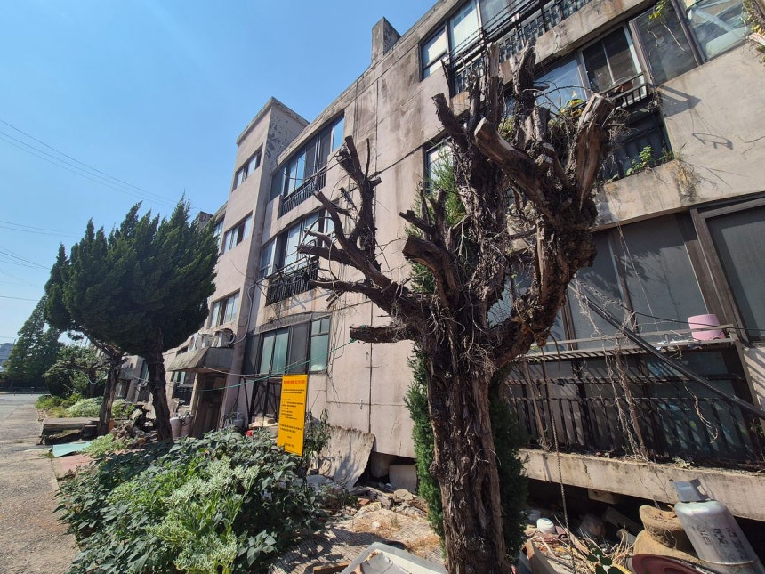 지은 지 44년 된 노후 주택 건물 외벽은 곳곳에 금이 가고 곰팡이가 피었다.안대훈 기자