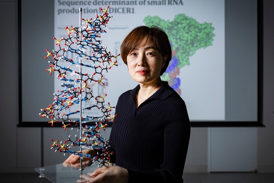 ‘나카소네상’ 김빛내리 단장, <b>mRNA 수명</b> 늘리는 바이러스 원리 발견