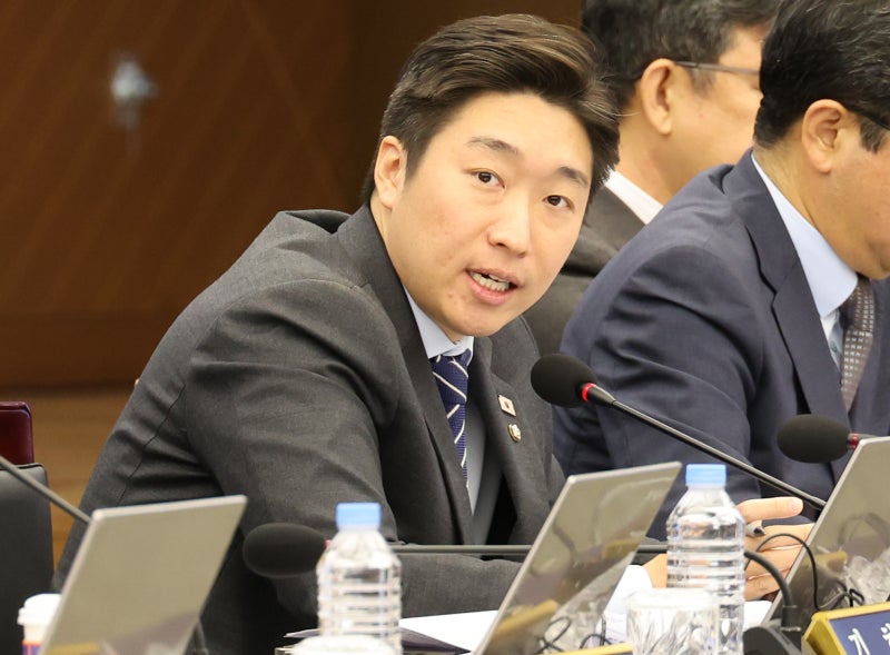 ‘<b>김구</b> 증손’ <b>김용만</b>, 하영 논란에 “선조 과오 알게 된 뒤 행동 중요...
