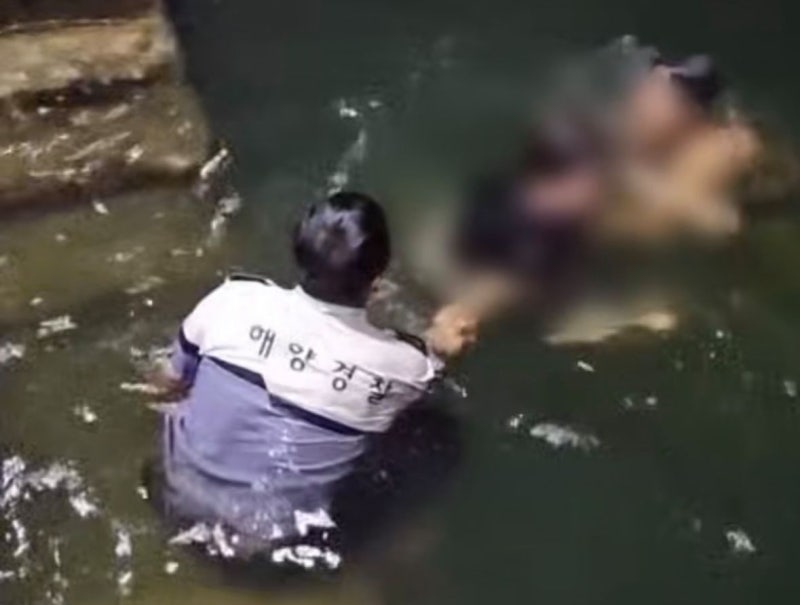 음주 측정 거부하고 도주하던 30대, <b>바다</b>로 <b>추락</b>