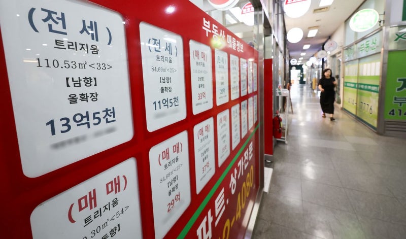 [단독] “집주인 아들 진짜 사나보자” 전세 살던 동네 기웃대는 세입자