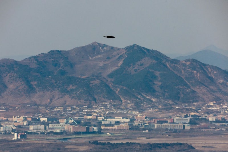 서부전선 <b>DMZ</b>서 <b>지뢰 폭발</b> 추정 사고…군 간부 1명 발목 절단
